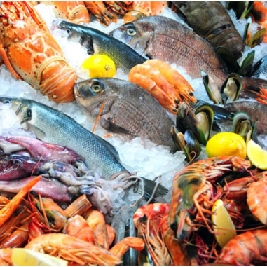 Ryby a mořské plody